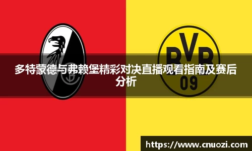 多特蒙德与弗赖堡精彩对决直播观看指南及赛后分析