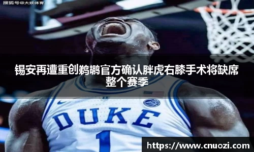 雷火电竞平台